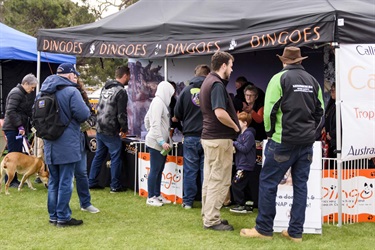Djerriwarrh Festival