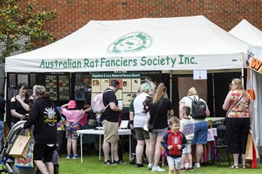 Djerriwarrh Festival
